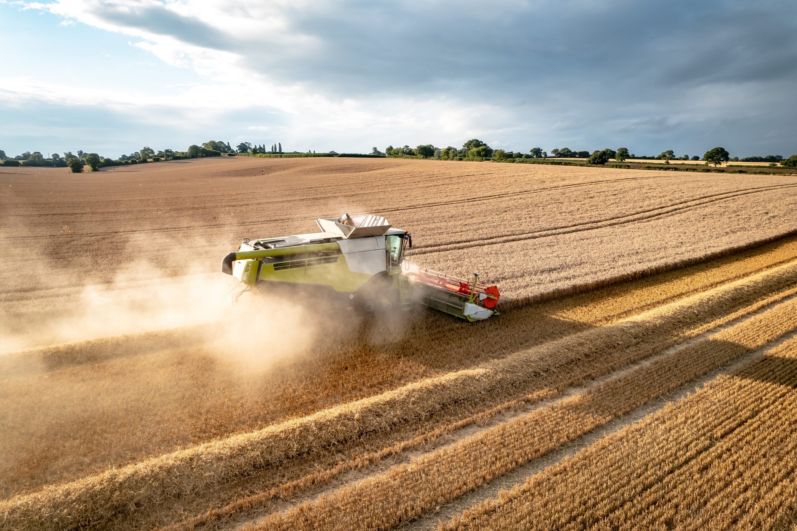 farming-in-summer-2022-11-17-15-49-14-utc